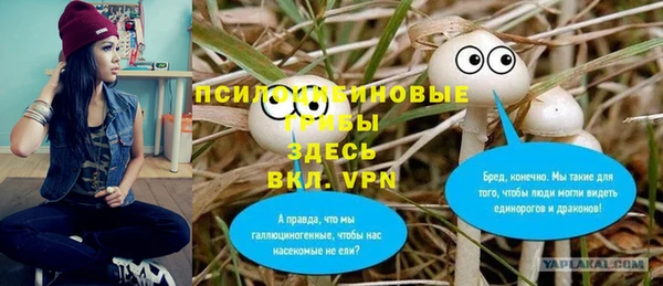 не бодяженный Арсеньев