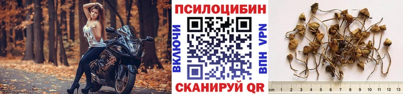 Псилоцибиновые грибы мухоморы  кракен маркетплейс  Верхний Уфалей 